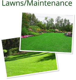 Lawns/Maintenance