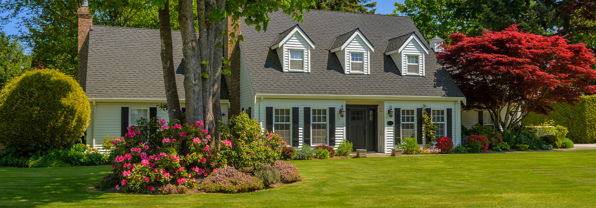 home with landscaped yard