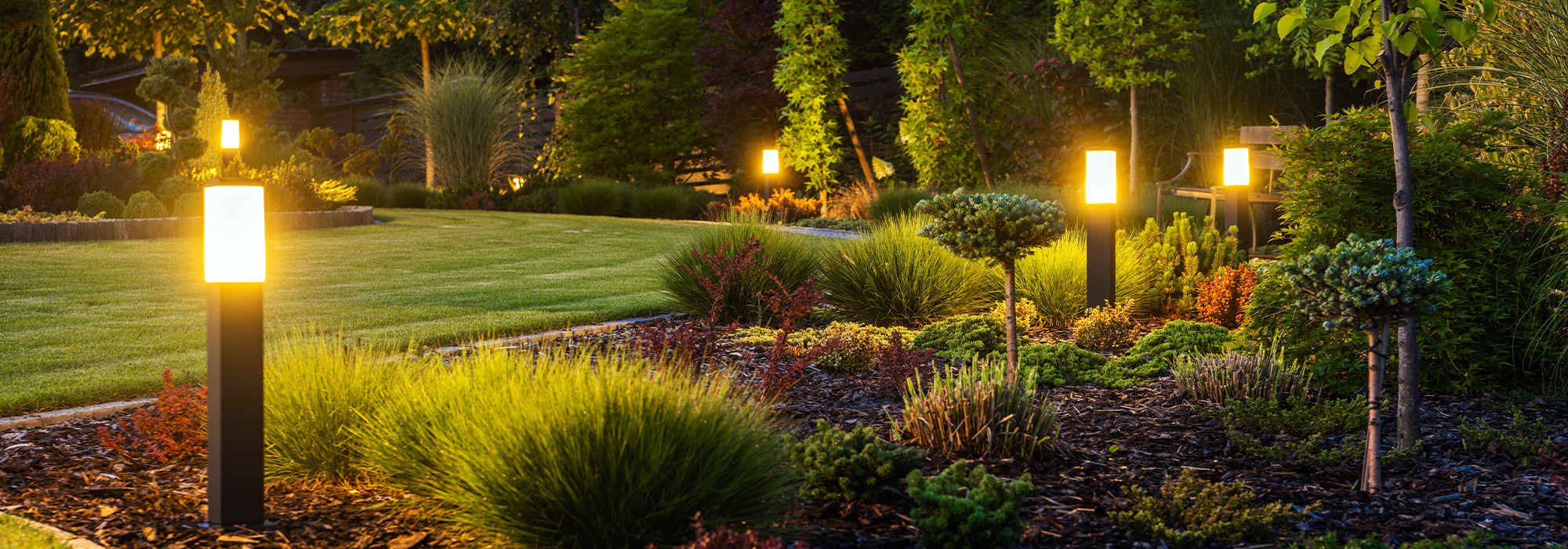landscaped yard at night