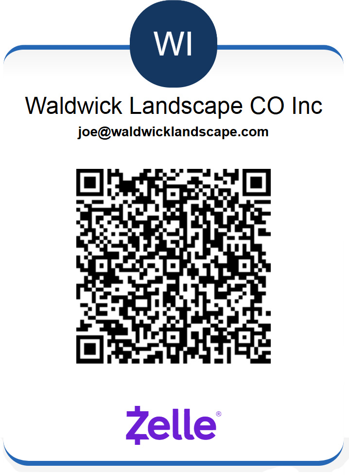 zelle qr code